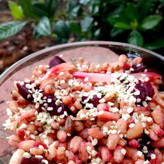 Barley Beet Salad