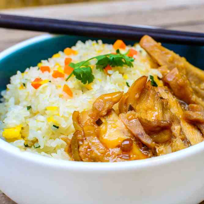 Instant Pot Teriyaki Turkey - Rice