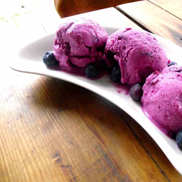 Low Fat Blueberry Frozen Yoghurt