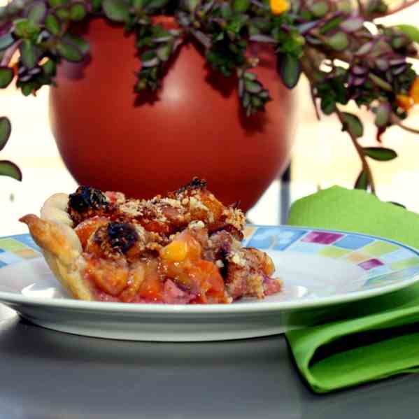 Mirabelle Plum and Prune Pie