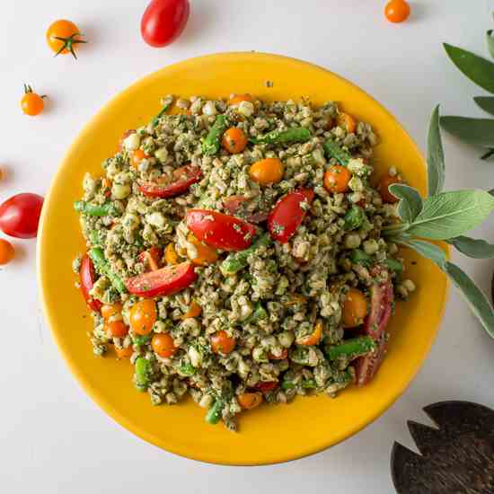 Sage Pesto Farro Salad