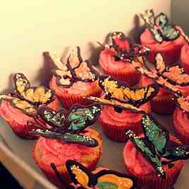 Butterfly Cupcakes