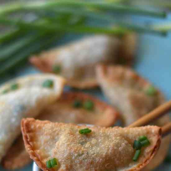 Easy Crispy Pork Wontons