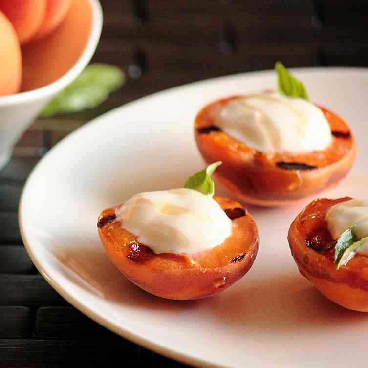 Grilled Apricots with Greek Yogurt