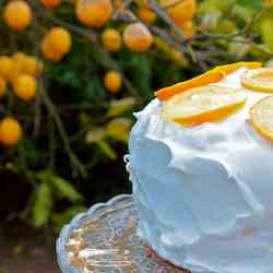 Lemon cake with vanilla frosting