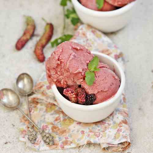 Mulberry Strwberry Buttermilk Sorbet & Jam