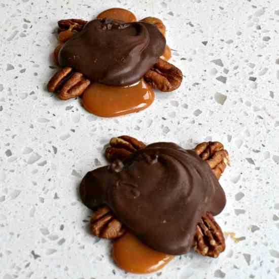 Chocolate Turtles