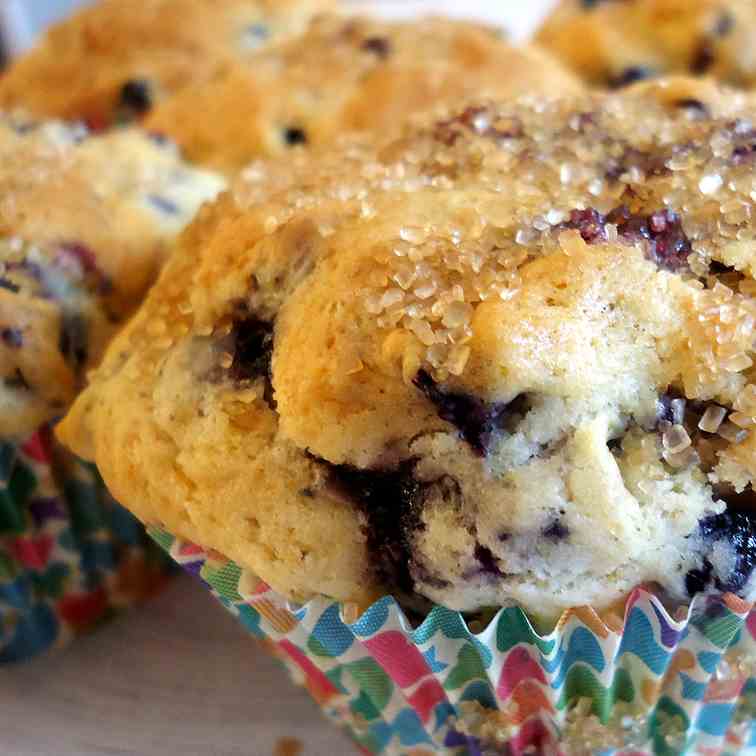 Blueberry Muffins