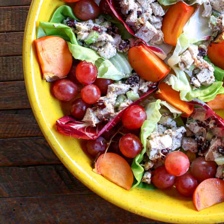 Turkey & cranberry lettuce wraps