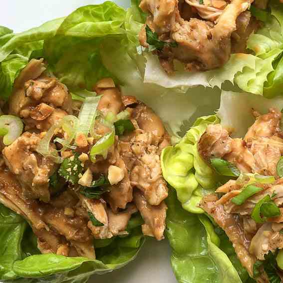 Instant Pot Thai Chicken Thighs