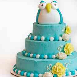 {Owl Birthday Cake}
