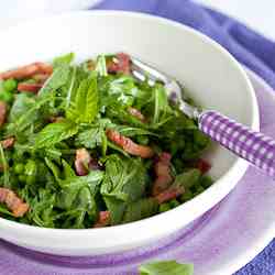 healthy green salad