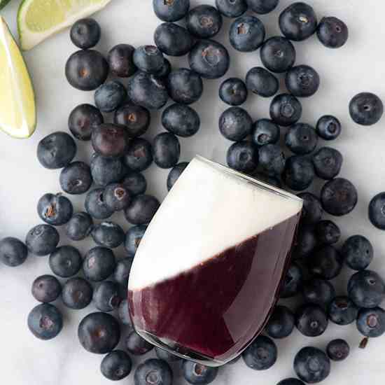 Blueberry Guava Panna Cotta