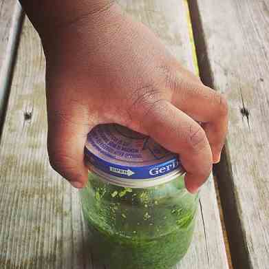 Coriander Cashew Pesto