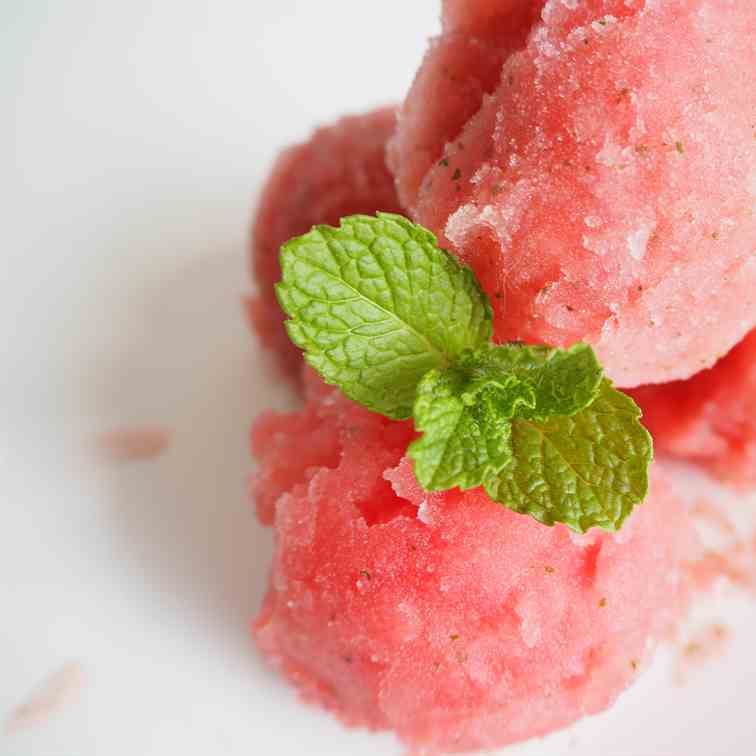 Watermelon and Mint Sorbet