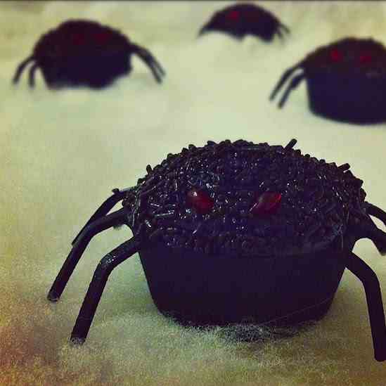 Spooky Spider Cupcakes