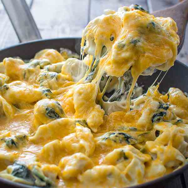 Creamy Spinach Tortellini