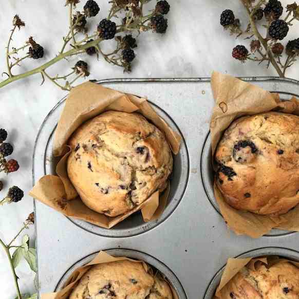 Blackberry Muffins