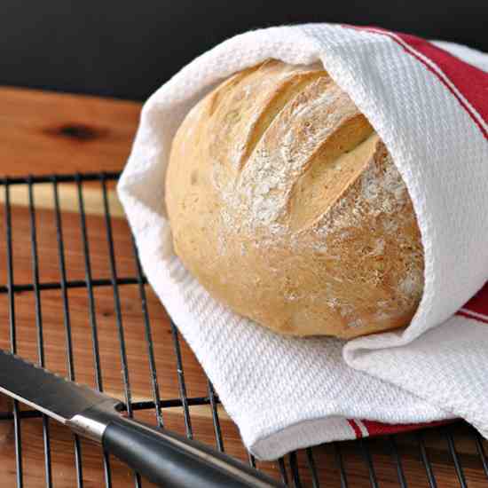 Super Easy Crusty Bread