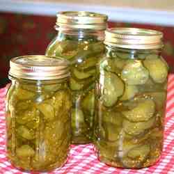 Bread and Butter Pickles