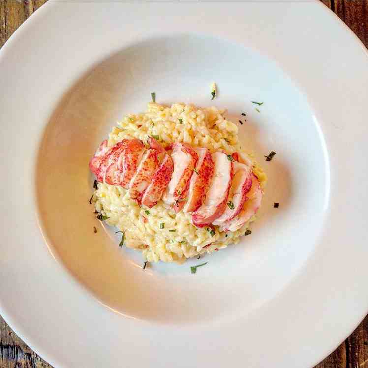 Lobster Risotto