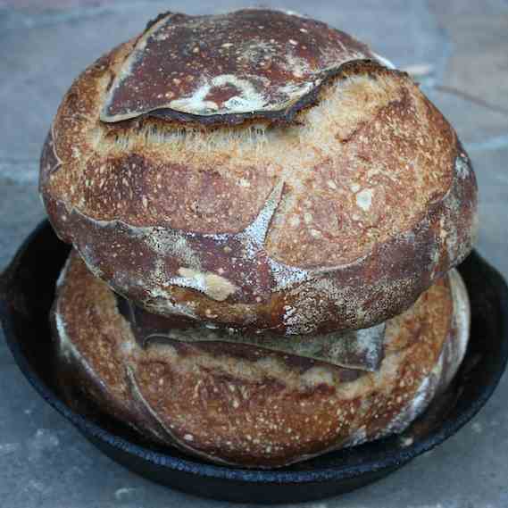 Sourdough City Bread