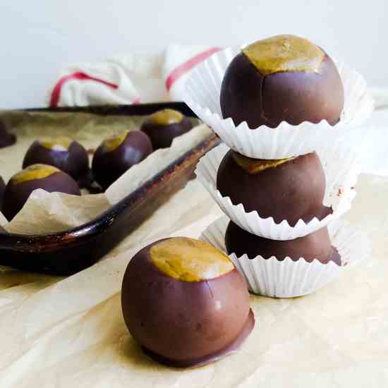 Vegan Protein Buckeyes