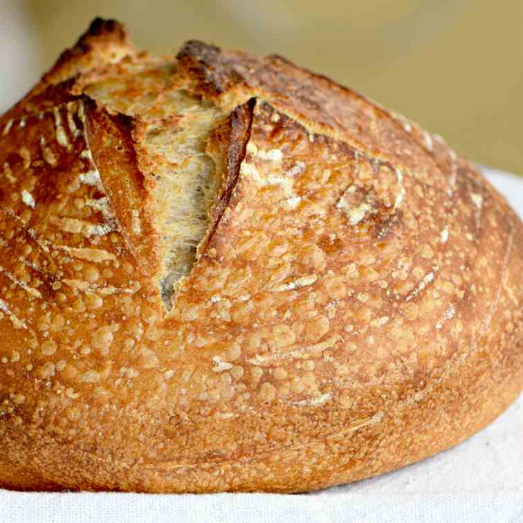 Homemade Sourdough Bread