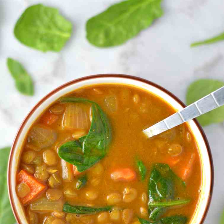 Vegan Coconut Curry Lentil Soup