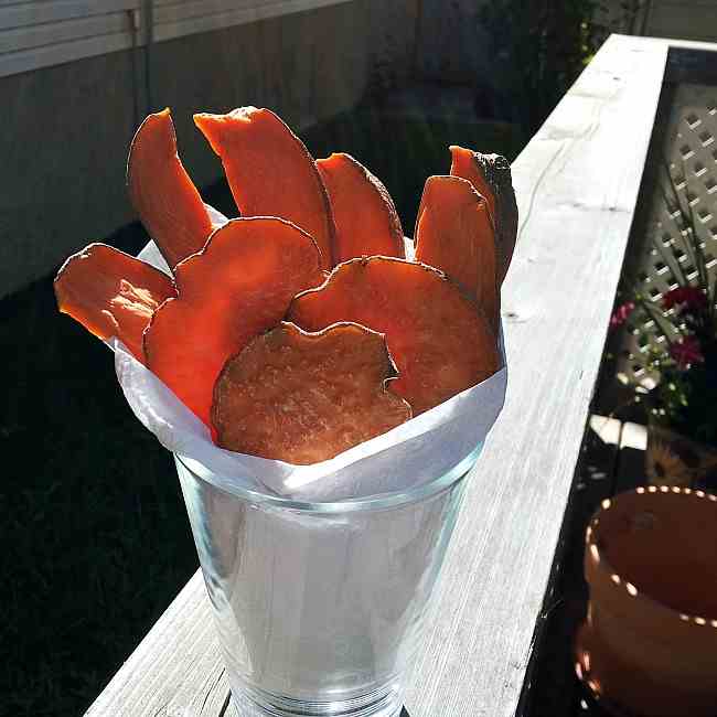 Homemade Sweet Potato Chew Dog Treats