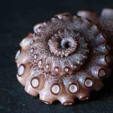 Sea Salad