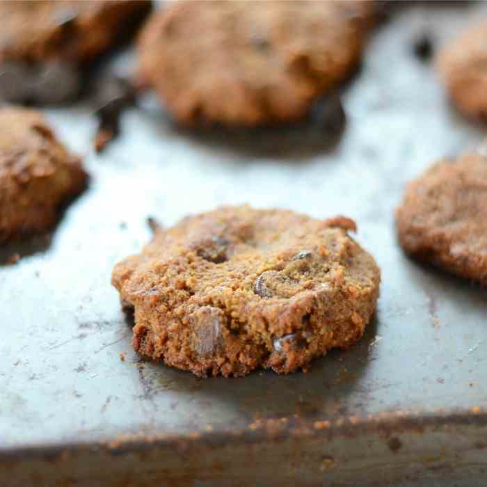 Coconut Flour Chocolate Chip Cookies