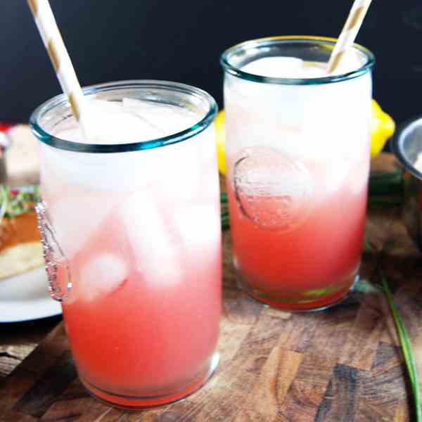 Watermelon Mint Vodka Coolers