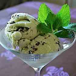 Mint Chip Gelato