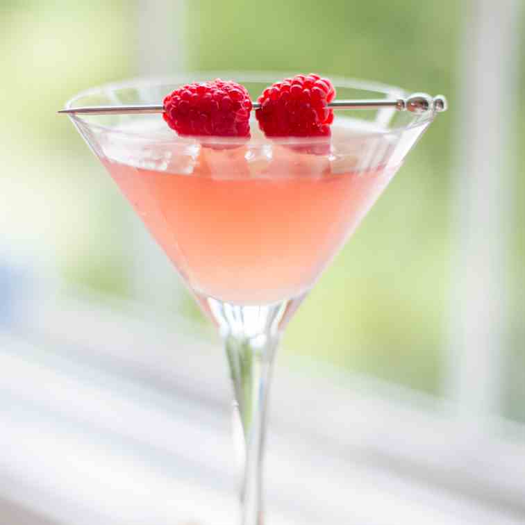 Raspberry Gin Fizz