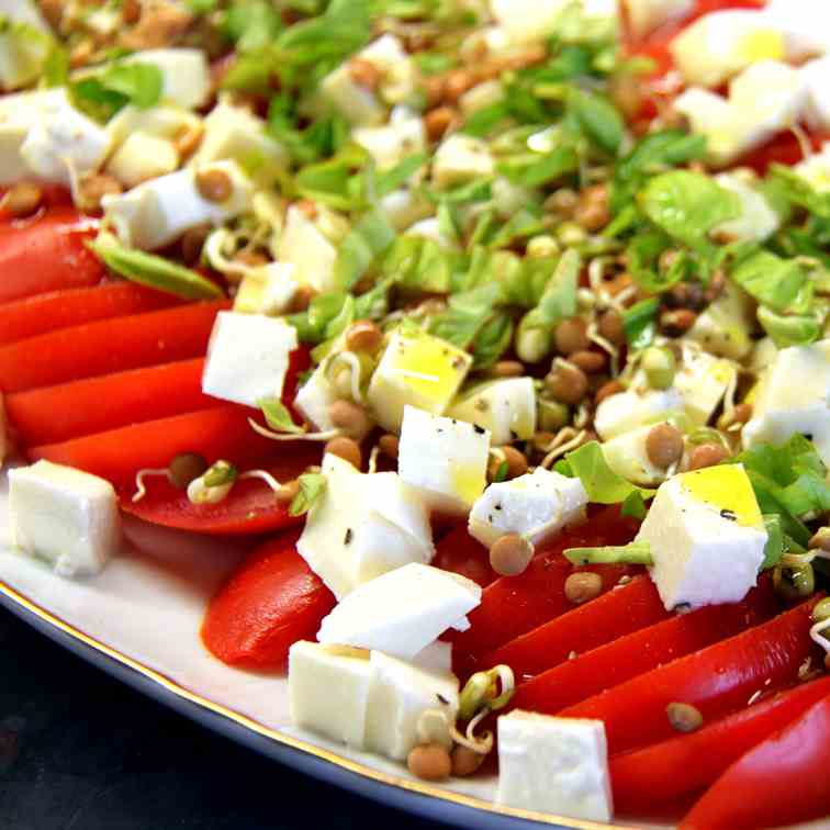 Two Tomato Cheese Salads