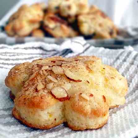 Orange and Cranberry Scones