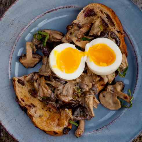 Creamy mushrooms and eggs