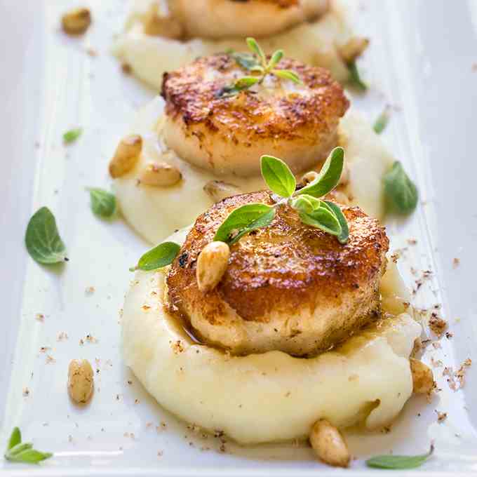 Seared scallops over parsnip puree