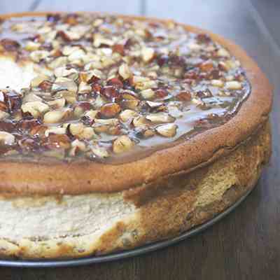 Honey cheesecake & toffee hazelnuts