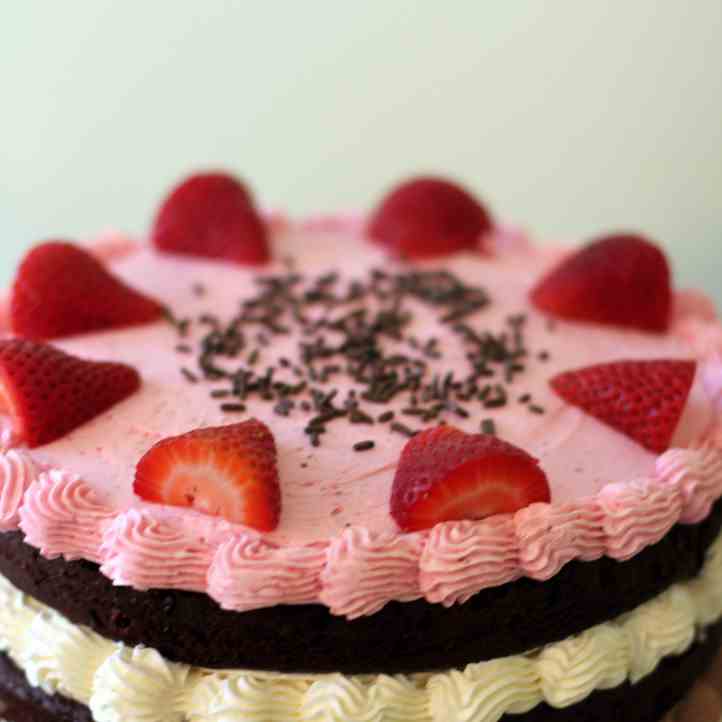 Neapolitan Layer Cake