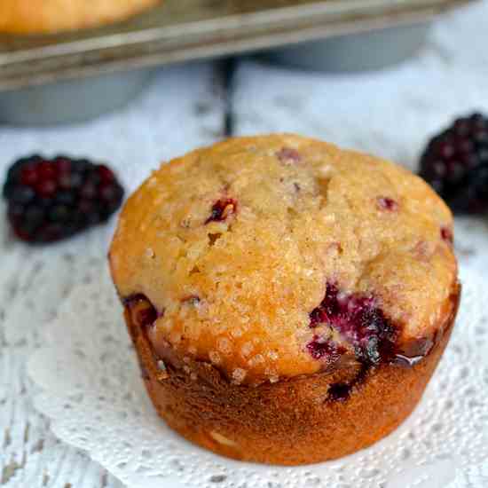 Blackberry Yogurt Muffins