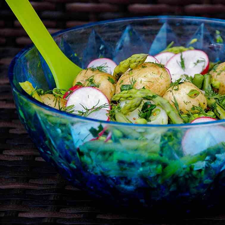 Potato Spring Salad