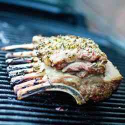 BBQ rack of lamb