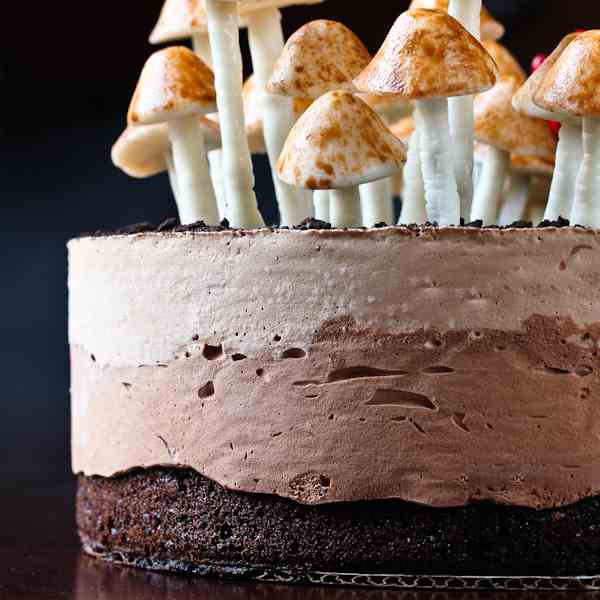 Chocolate Mocha Mousse Cake