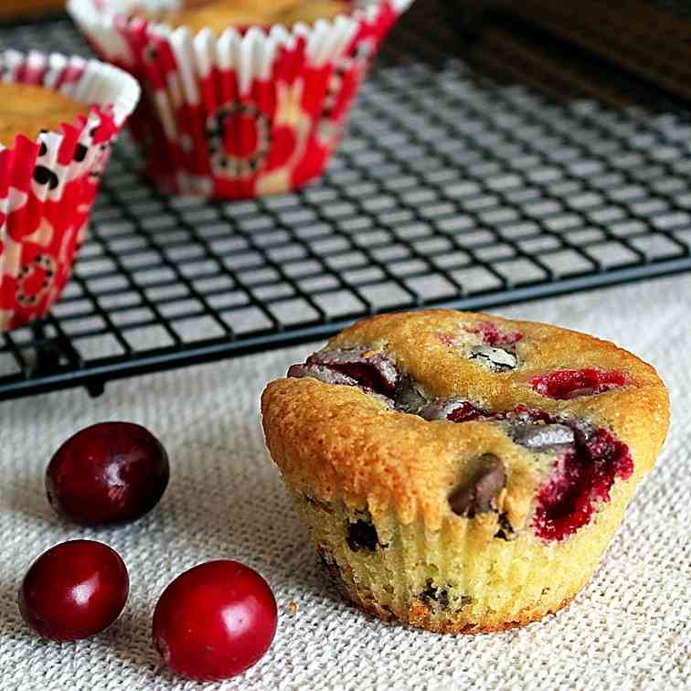 Cranberry Chocolate Chip Cupcakes