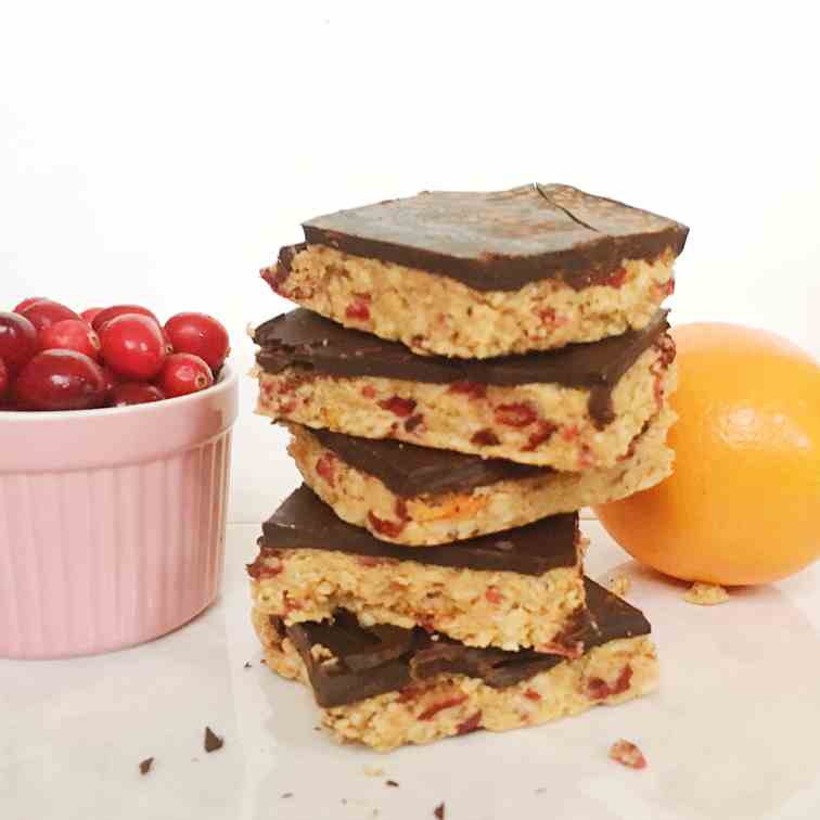 No Bake Chocolate Covered Orange Cranberry