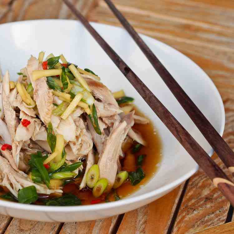 Shredded Chicken with Asian Ginger Sauce