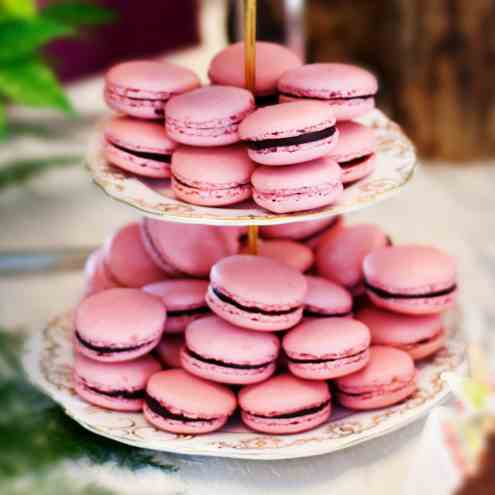 Pink Wedding Macarons with Photo Tutorial!