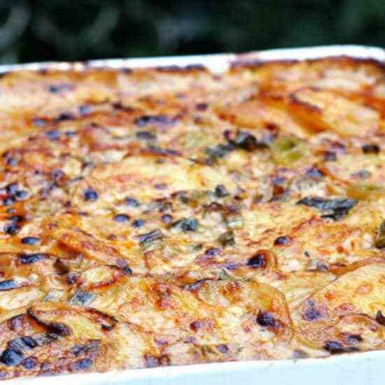 Chipotle Potato Gratin Recipe